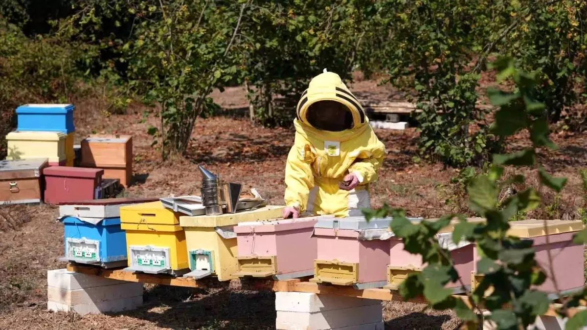 Düzce Üniversitesi Mezunları FAO Tarafından 'Gıda Kahramanı' Seçildi