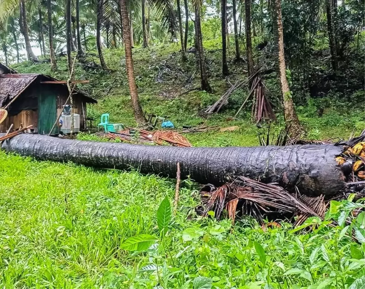 Filipinler'de Fengshen Fırtınası: 7 Ölü, 245 Bin Kişi Etkilendi