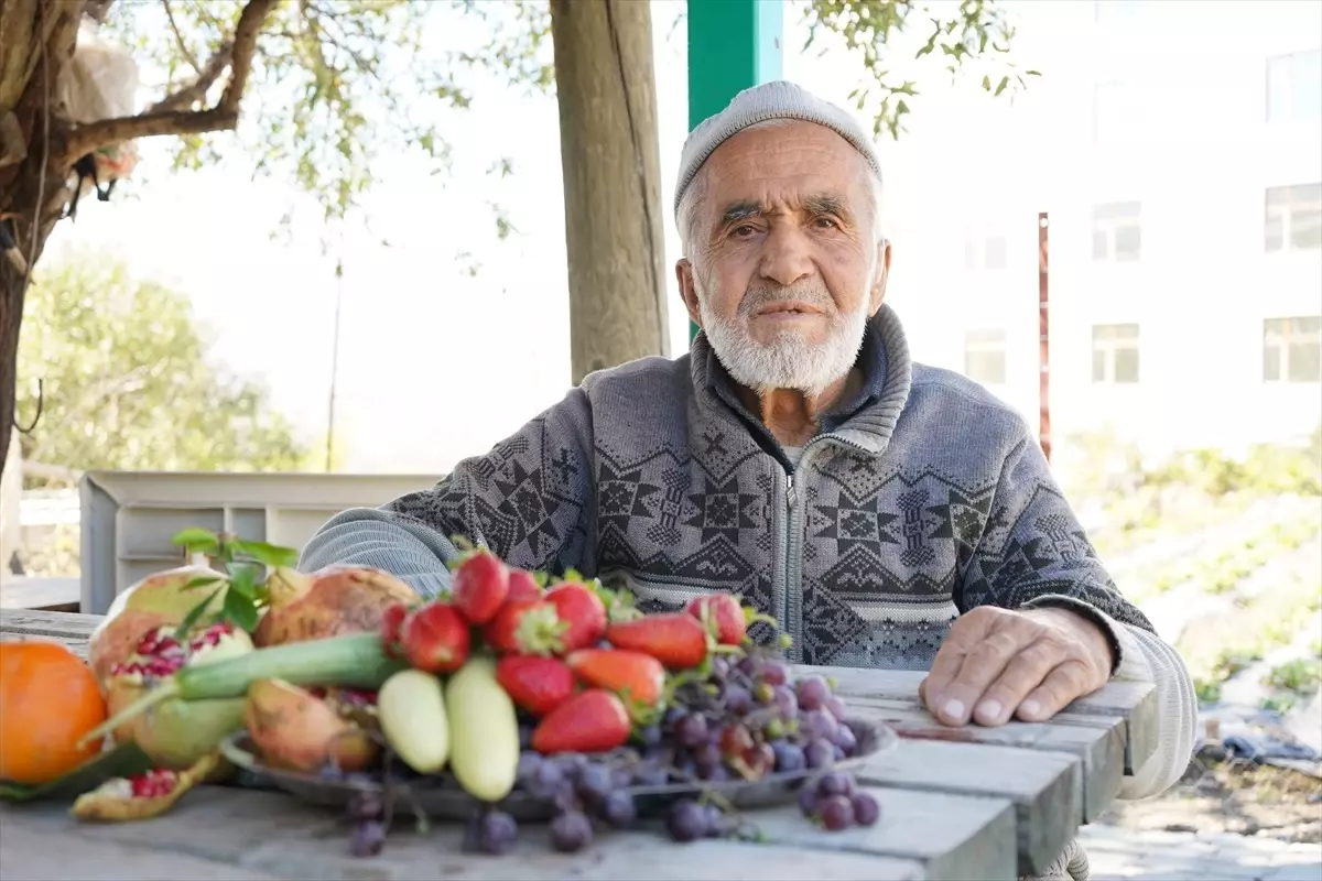Isparta'da Hayır Bahçesi: 30 Yıldır Ücretsiz Meyve İkram Ediyor