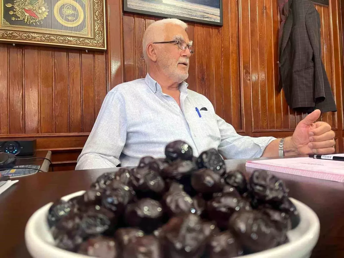 Bursa'dan İsviçre'ye Zeytin İhracı