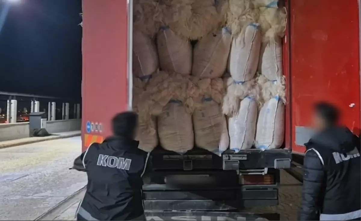 Kırşehir'de 5 Ton Kaçak Tütün Ele Geçirildi