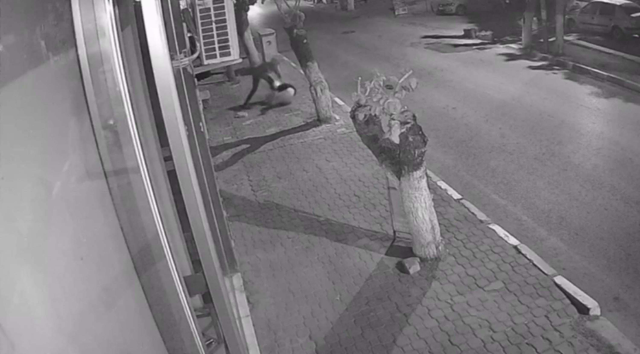 The little boy brought terror to the neighbor girl