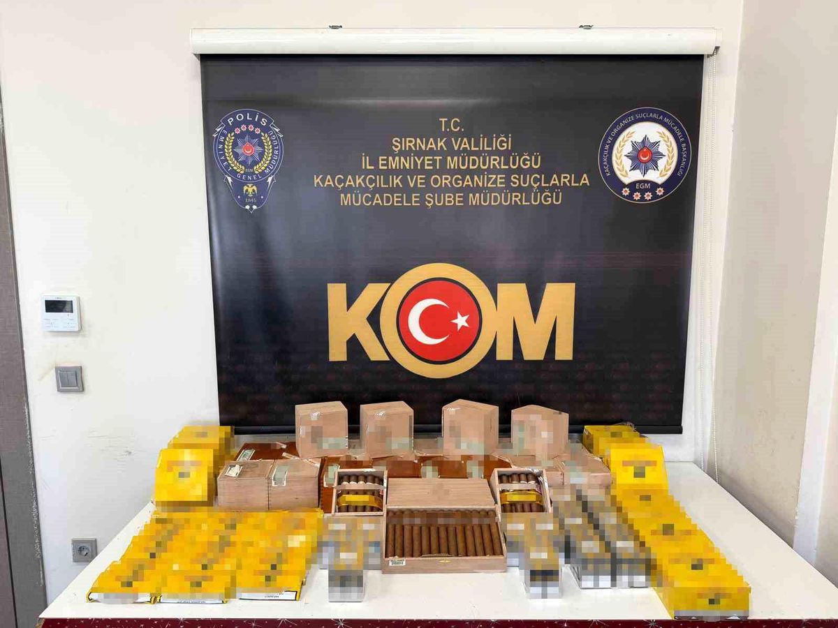 Şırnak'ta Narkotik ve Kaçakçılık Operasyonları: 3 Tutuklama