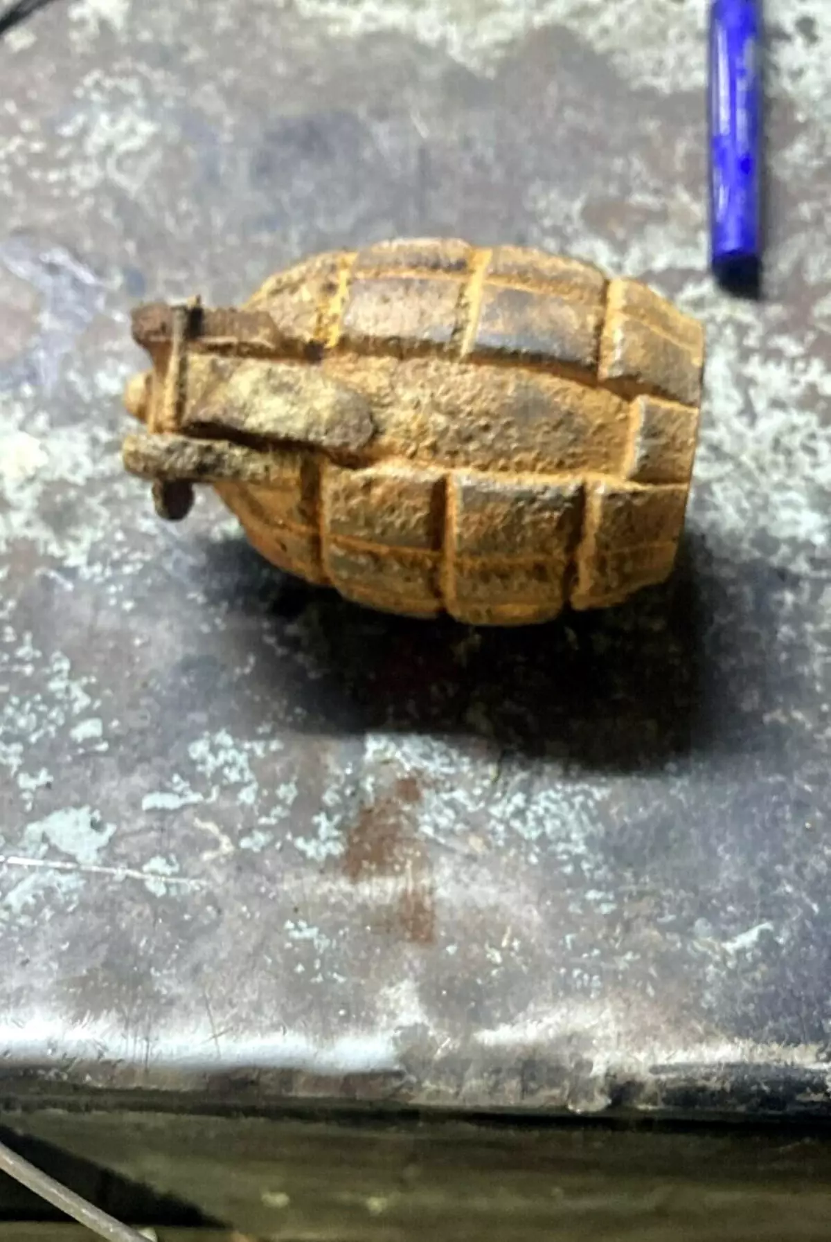 Tire'de 10 Yaşındaki Çocuk Tarlada Bulduğu El Bombasını Babasına Getirdi