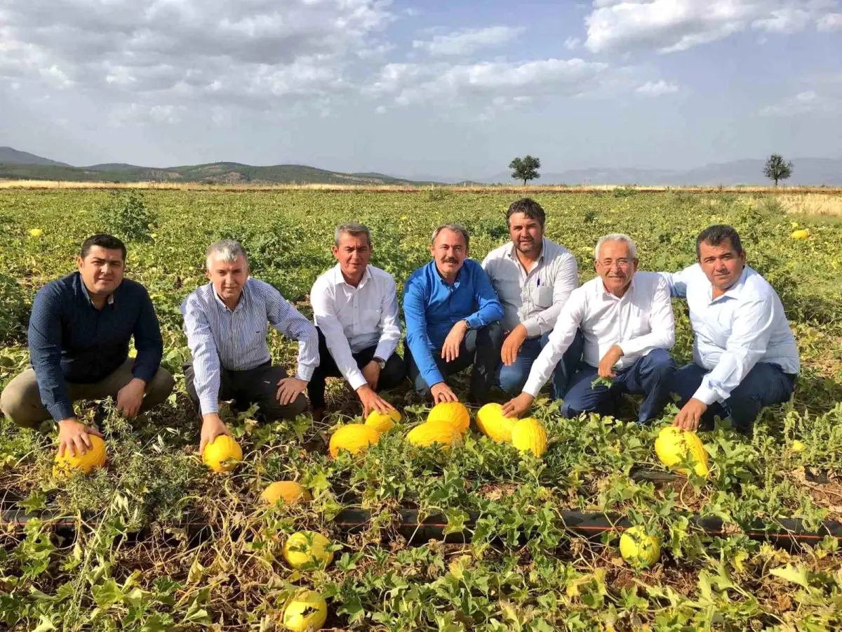 Acıpayam Kavunu Coğrafi İşaretle Tescillendi