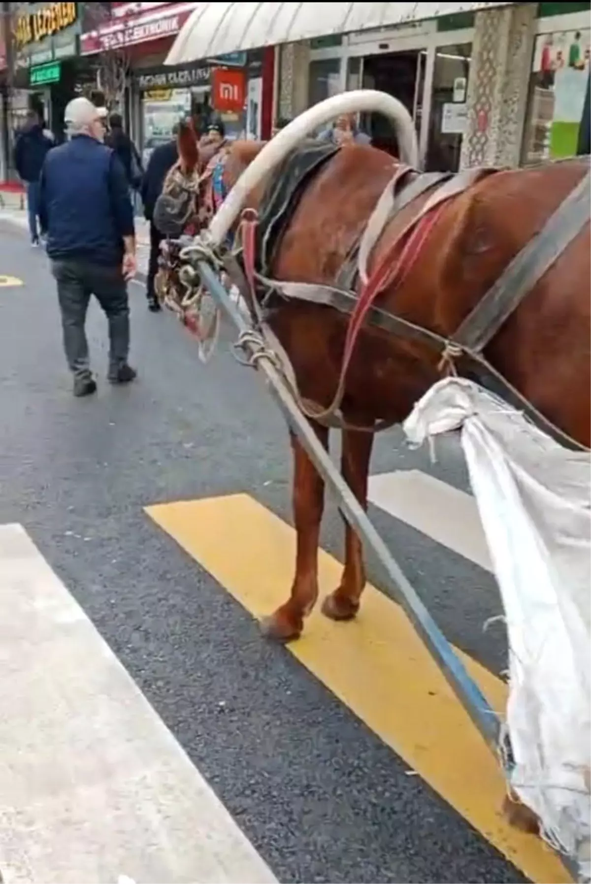 Keşan'da Yaya Geçidine At Arabası Park Eden Kişiye Ceza