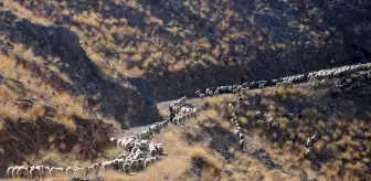 Göçerler İlkbahar Ziyaretlerinin Ardından Memleketlerine Dönmeye Başladı