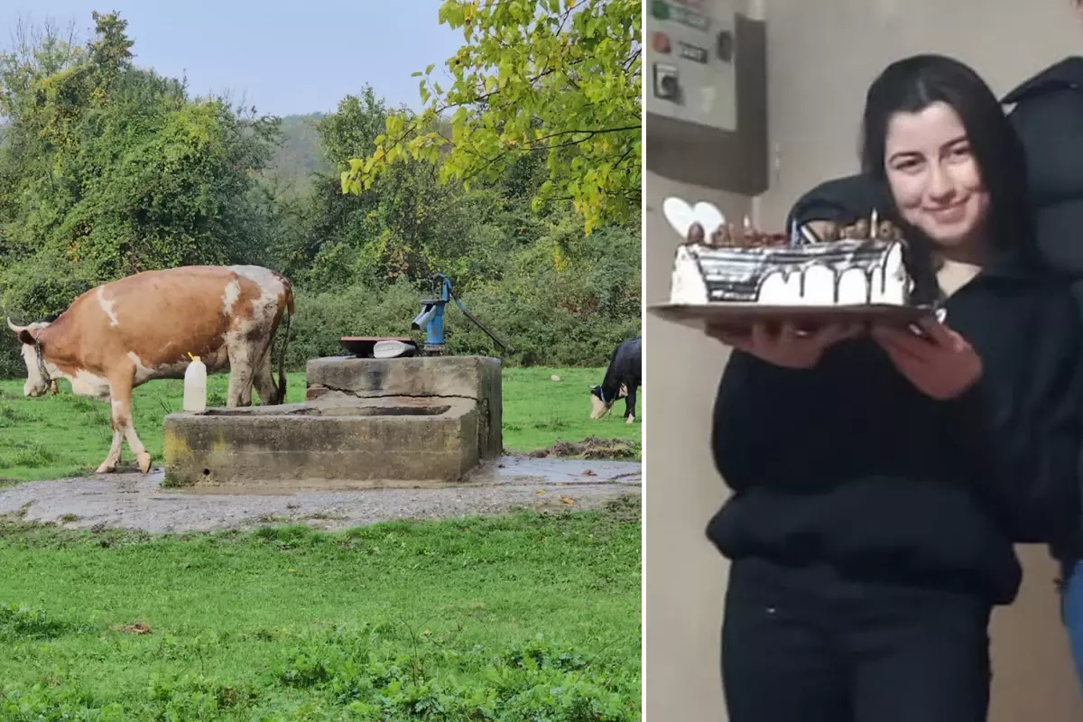 Hasret'in cesedi su kuyusunda bulundu! Şüpheli 5 kişinin katili çıktı