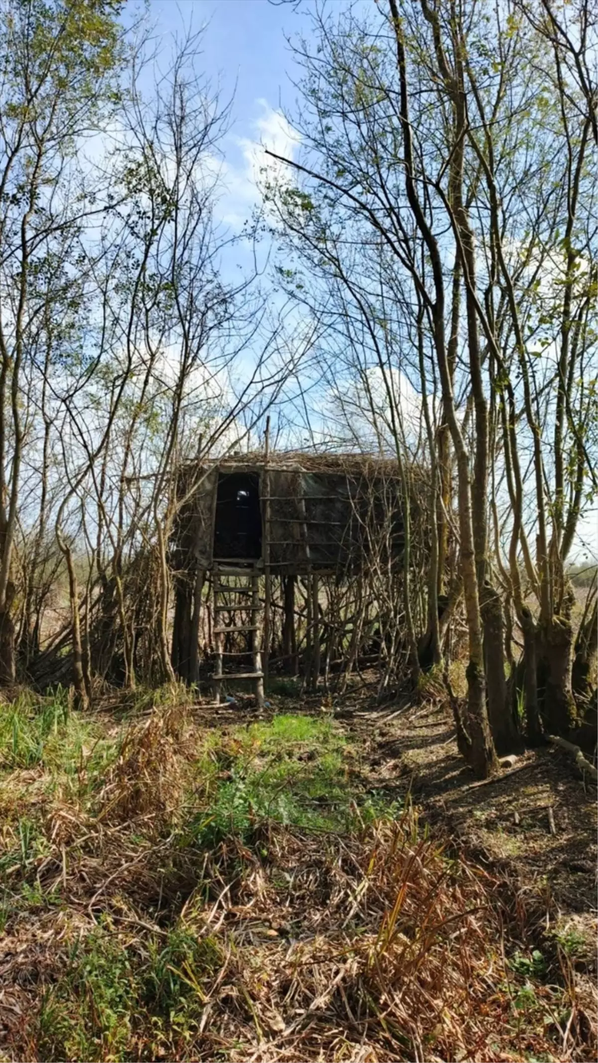 Sakarya'da Kaçak Avcılığa Geçit Yok: 6 Avcı Kulübesi İmha Edildi