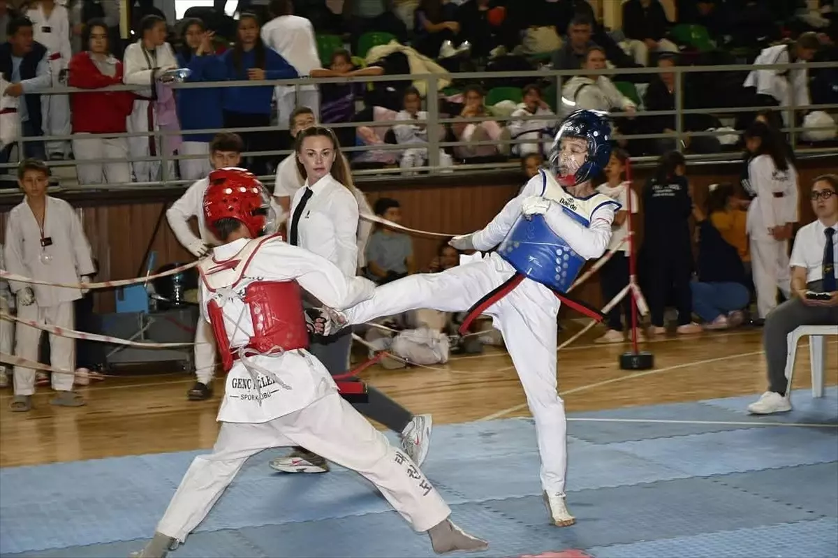 Tekvando Balkan Kupası Malkara'da Gerçekleşti