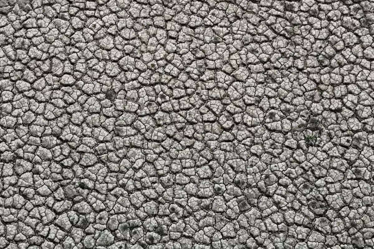 Görüntü Türkiye'nin tarım merkezinden! Çekilen fotoğraflar kıtlığın habercisi