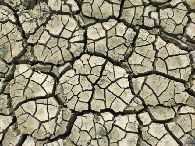 The state of Turkey's agricultural center is heartbreaking! The image was taken today