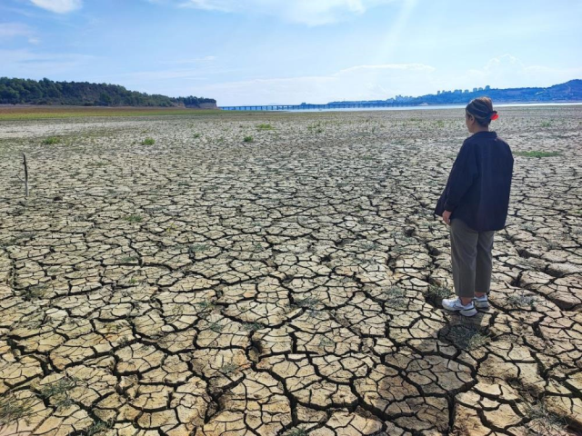 The state of Turkey's agricultural center is heartbreaking! The image was taken today