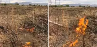 Vatandaş paylaştığı video ile yetkililere seslendi: İlimizin kurtuluşu olabilir