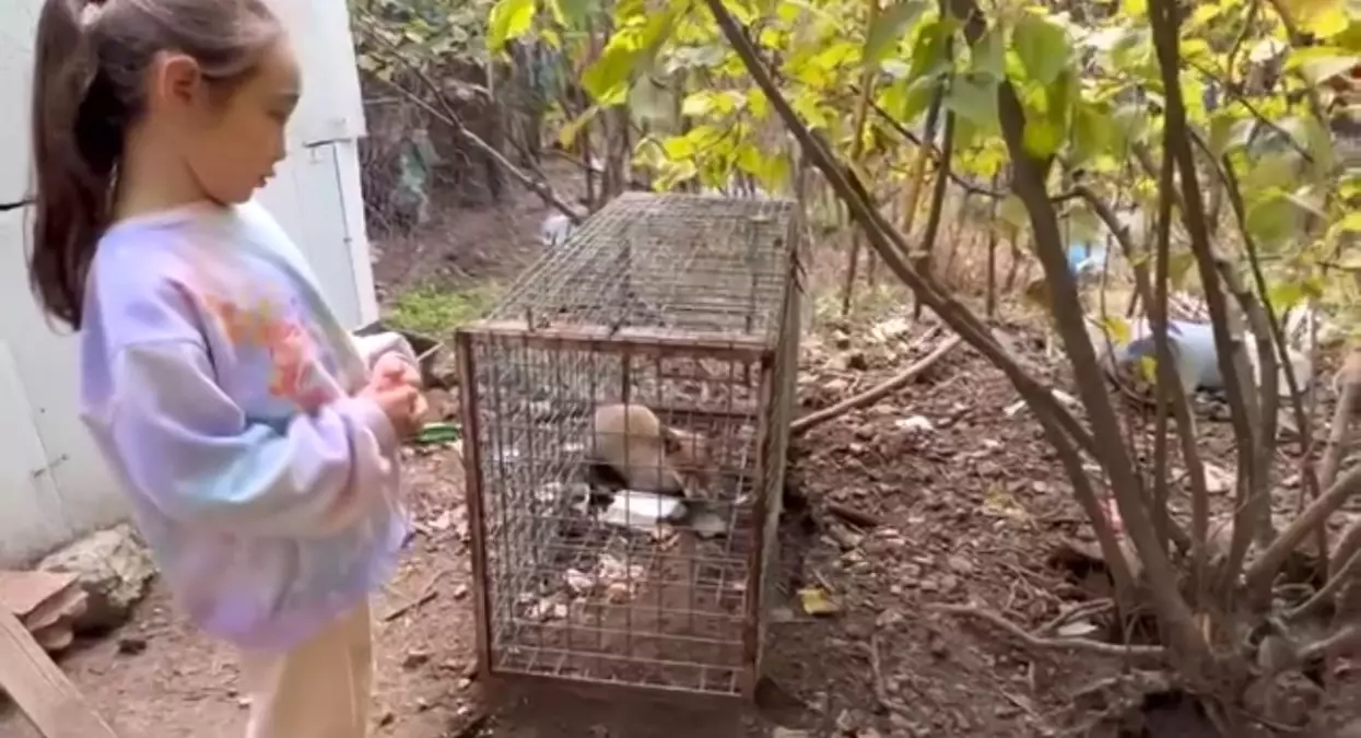 Küçük Kızın Tilkiye İlişkin Duygulandıran Sözleri