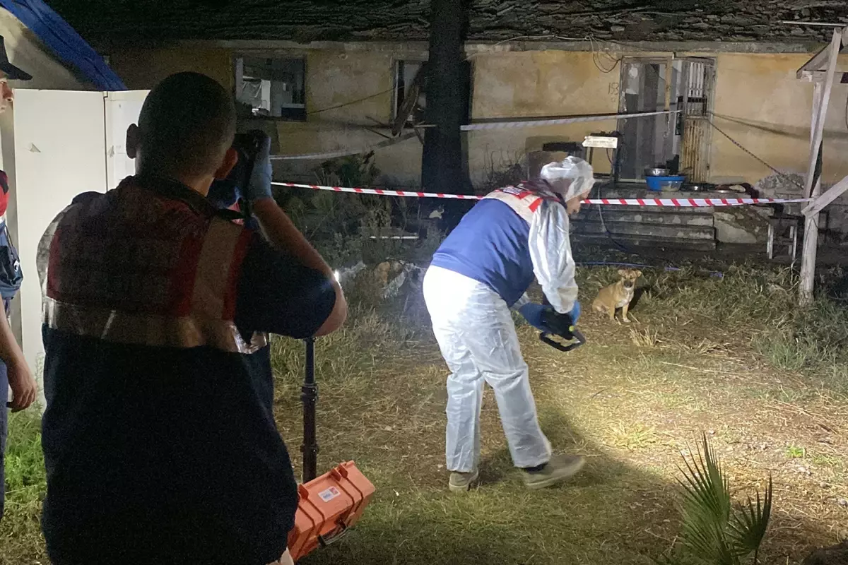 Annesine mesaj atan iş arkadaşını öldürdü