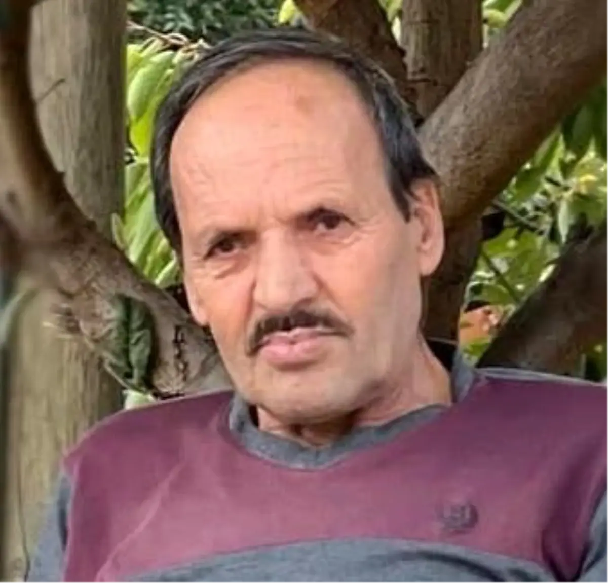 Denizli'de Çıntar Toplamak İçin Giden Yaşlı Adam Kalp Krizinden Hayatını Kaybetti