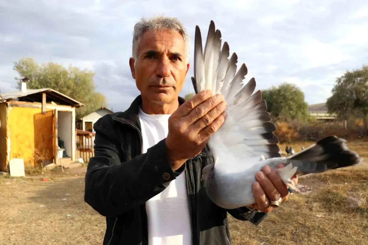 Bir ilimize özgü ırk! Değeri yarım milyondan fazla, yurt dışından talep yağıyor