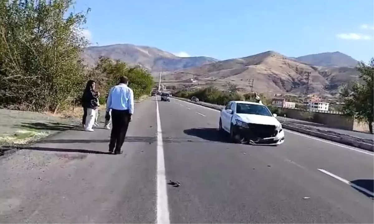 Elazığ'da Otomobilin Köpeğe Çarpması Sonucu Kaza: 1 Yaralı