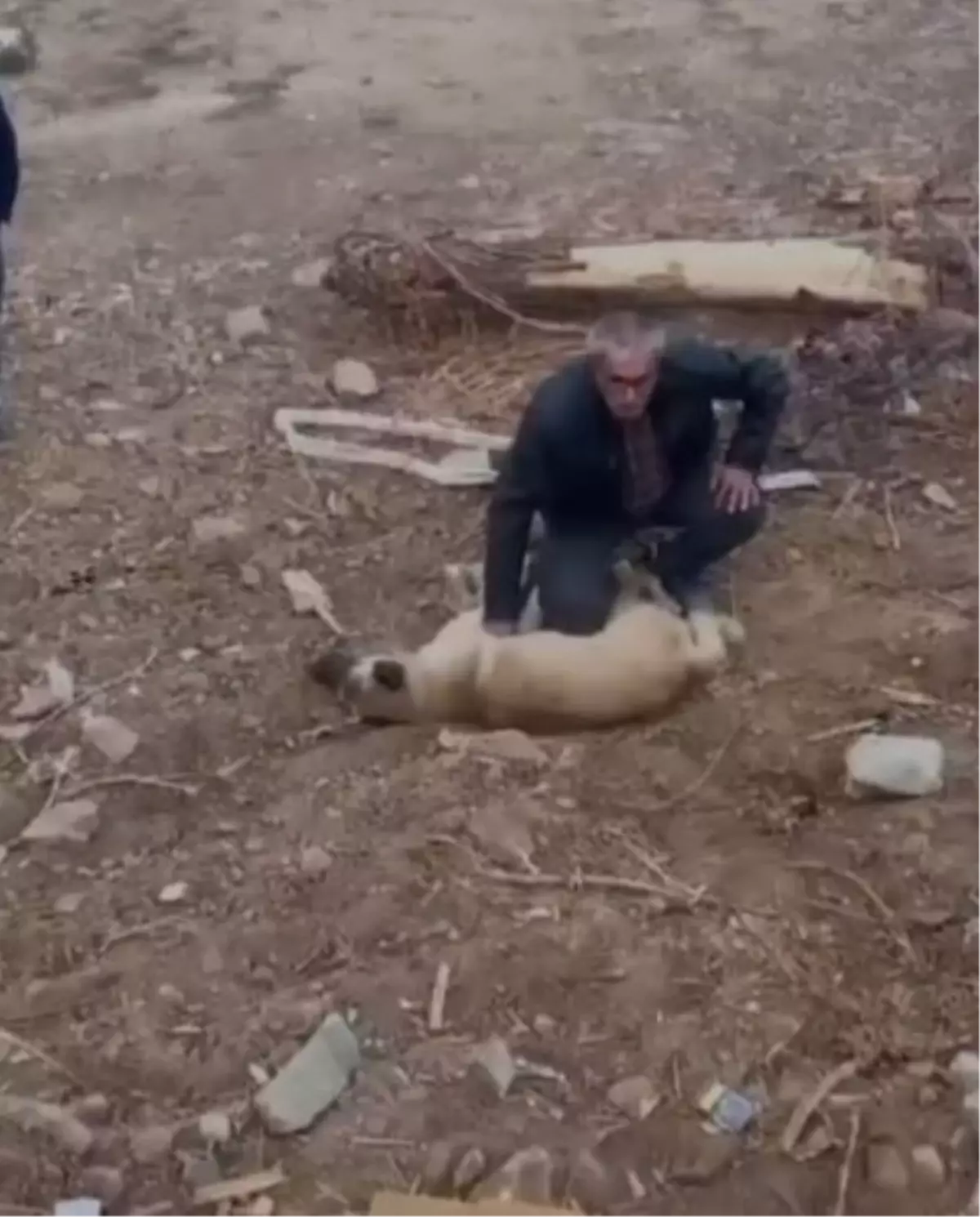 Ramazan Yartunç'un Köpeği Hayata Döndürme Mücadelesi