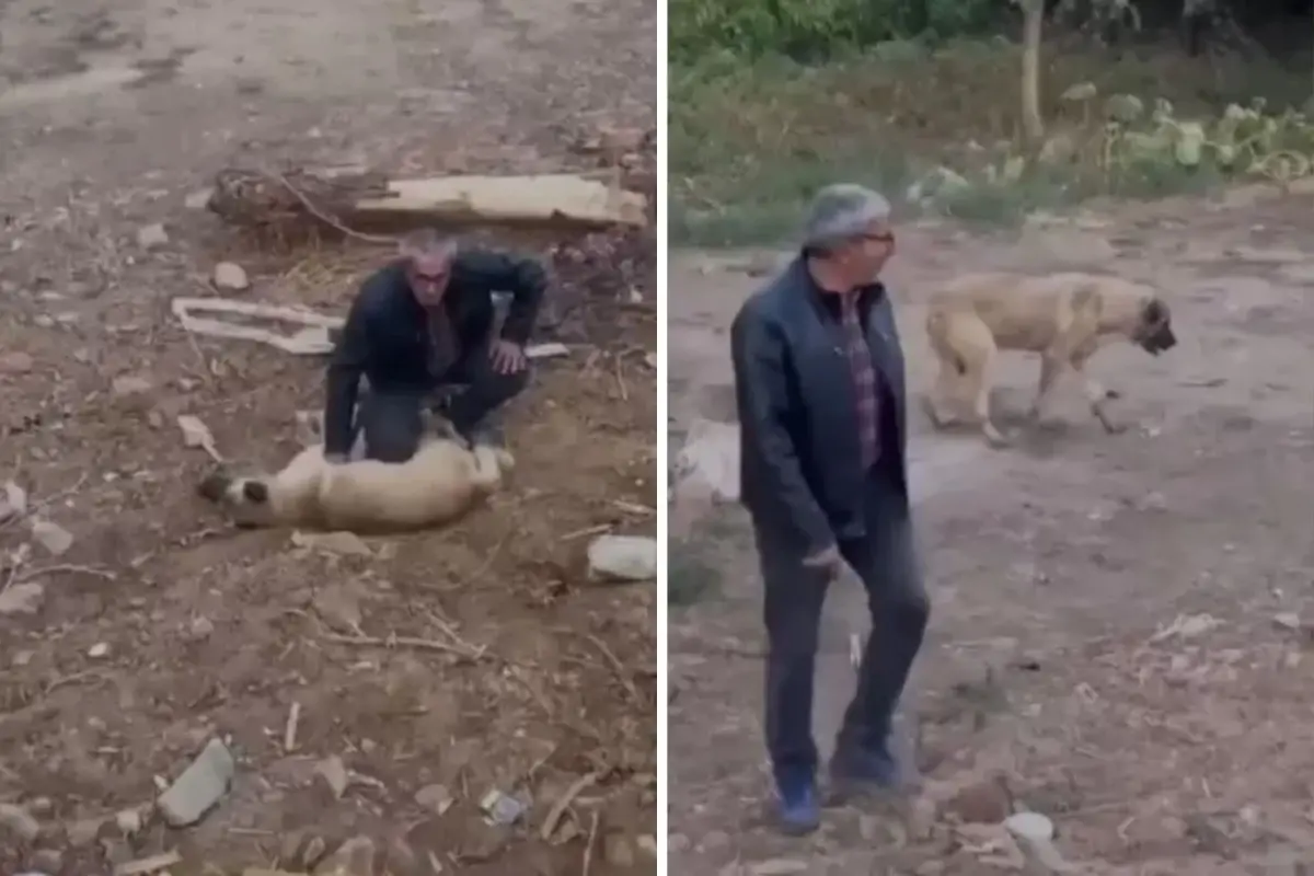 Fenalaşan köpeği kalp masajıyla hayata döndürdü