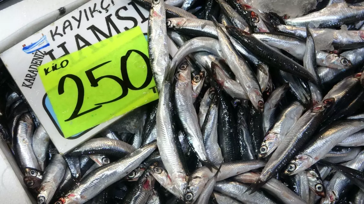 Balıkçılar Hamsi Bolluğuyla Karşılaştı