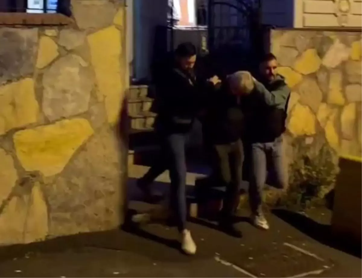 İstanbul'da Sokak Köpeğini Ezen Şüpheli Yakalandı