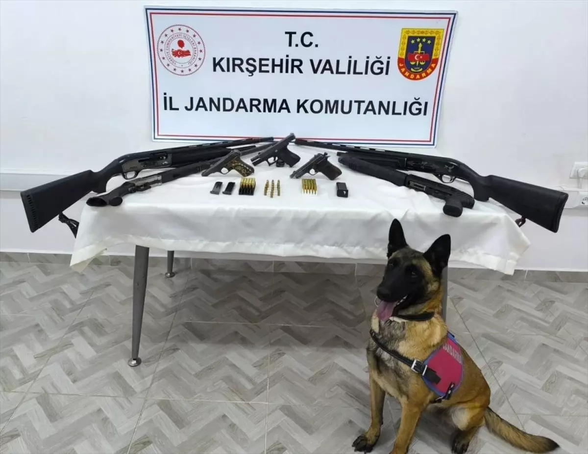 Kırşehir'de Jandarma Operasyonu: Ruhsatsız Silahlar Ele Geçirildi