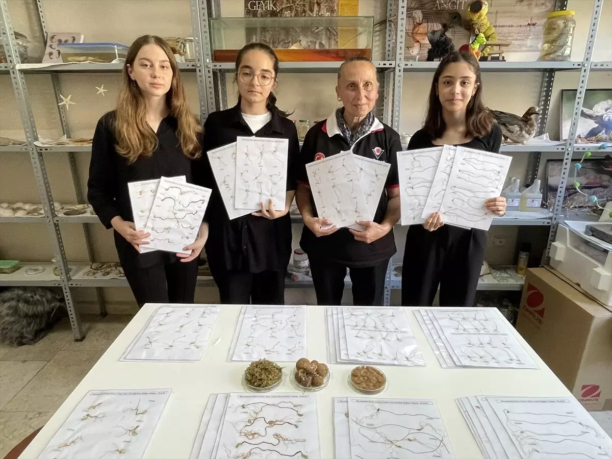 Bursa'daki Öğrenciler Biyostimülant Projesiyle Yarışmaya Katılıyor