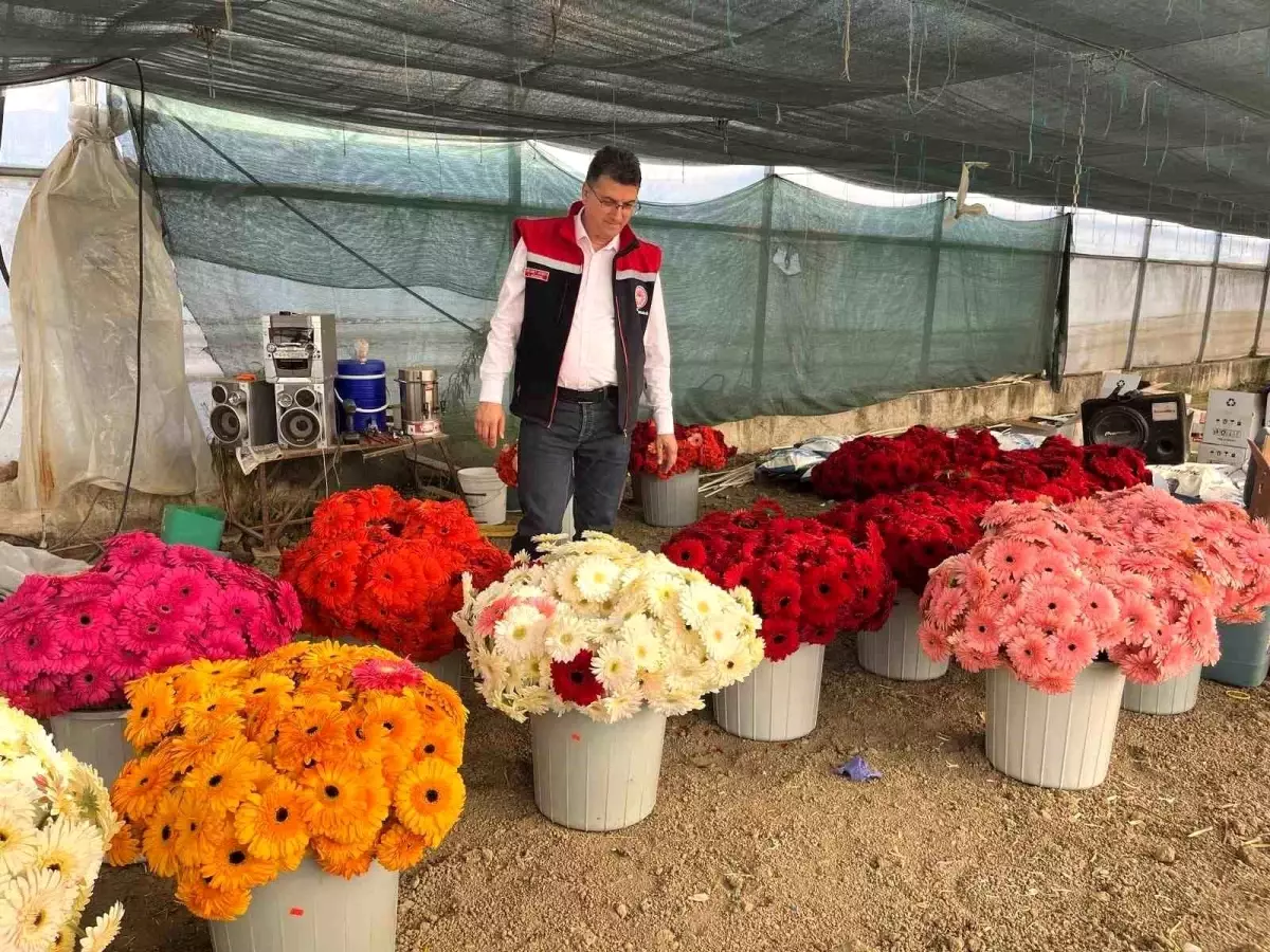 Tekirdağ İl Müdürü Çiftçileri Ziyaret Etti