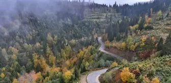 Trabzon'un Yüksek Kesimlerinde Sonbahar Renkleri Sıra Dışı Manzaralar Sunuyor