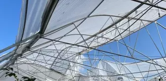 Serik'te Fırtına ve Yağış Sermaye Götürdü, Hasar Tespit Çalışmaları Başlatıldı