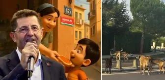 Çekmeköy Belediyesi'nin duyarsızlığı ilçe halkını isyan ettirdi