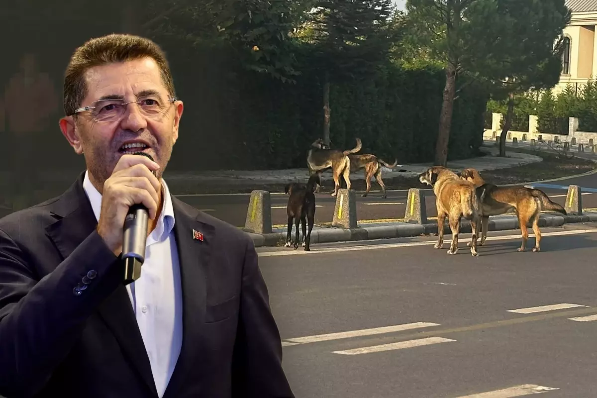 Çekmeköy Belediyesi'nin duyarsızlığı ilçe halkını isyan ettirdi