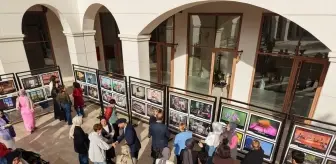 Sancaktepe'de 'Işığın İzinde' Fotoğraf Sergisi Açıldı