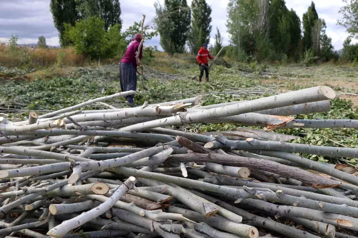 Erzincan'da Kışlık Yakacak Hazırlıkları Devam Ediyor