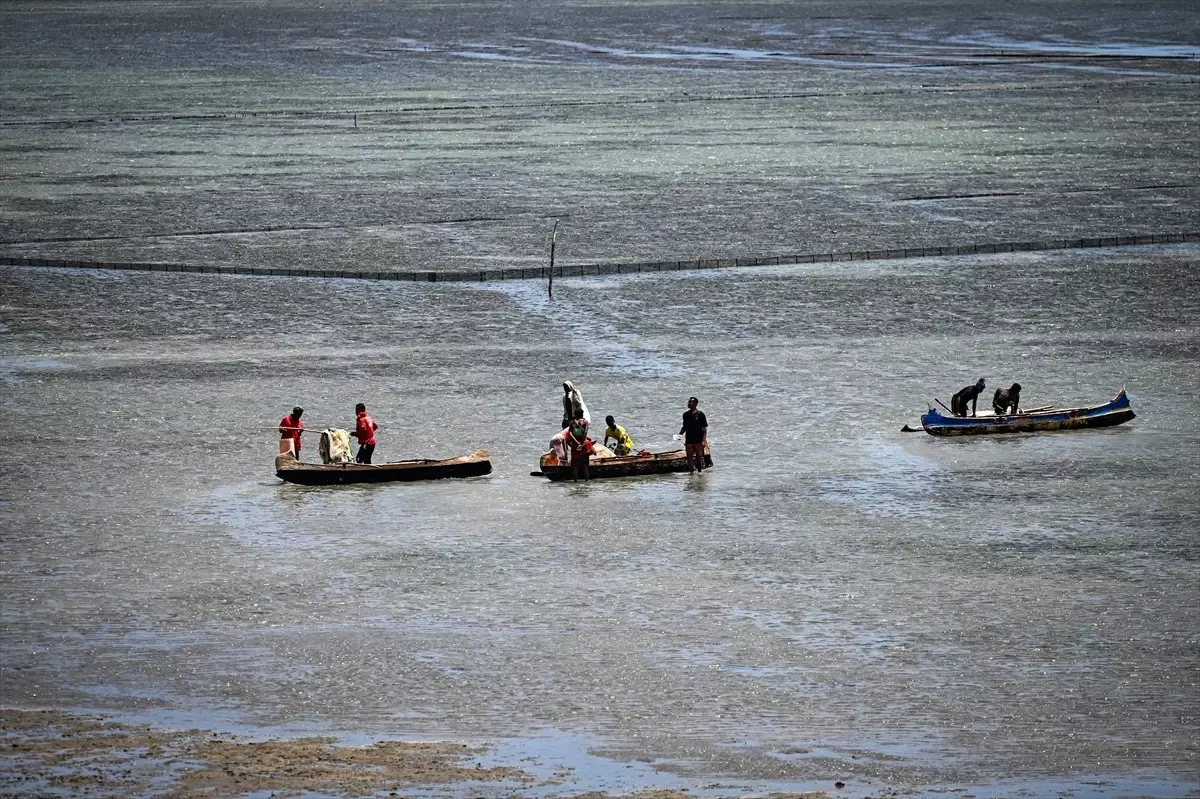 Madagaskar'ın Toliara Şehri: Balıkçılıkla Geçinen Bir Toplum
