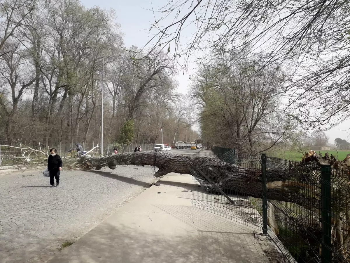 Marmara Bölgesi'nde Fırtına Beklentisi