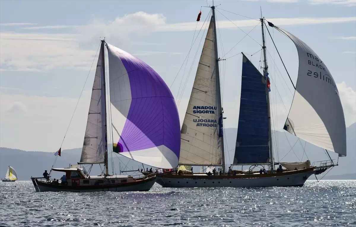 Maximiles Black The Bodrum Cup Yelken Yarışları Devam Ediyor