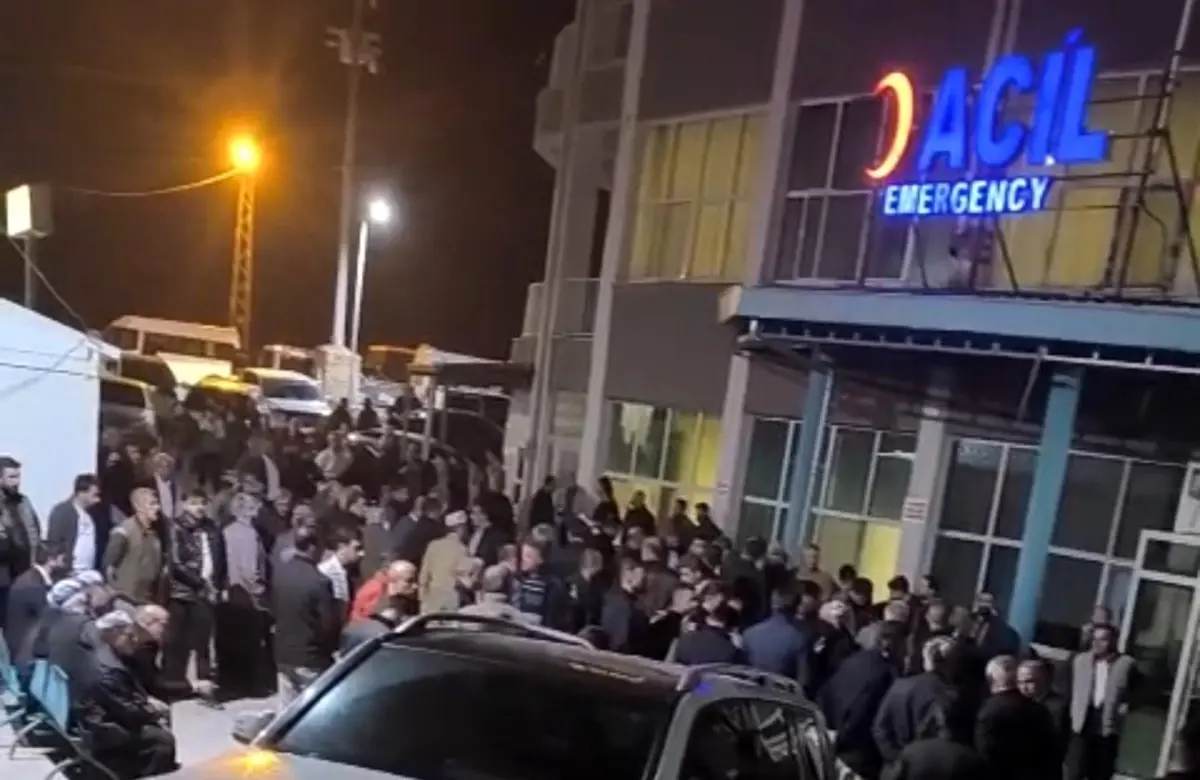 Ceviz Toplamak İçin Ağaca Çıkan Adam Düşerek Hayatını Kaybetti