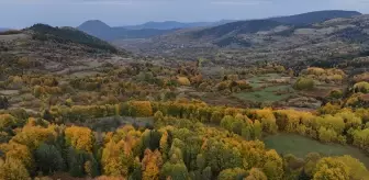 Gerze'de Sonbahar Renkleri Doğaseverleri Bekliyor