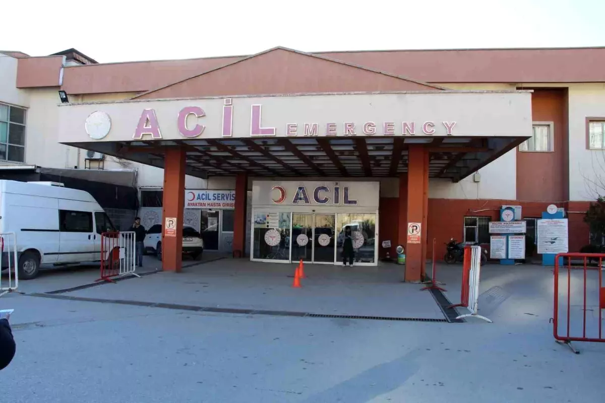 Çoban Köpekleri Nedeniyle Çıkan Kavga Silahlı ve Taşlı Olayla Sonuçlandı