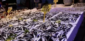 Trabzon'da Hamsi Fiyatları 100 Lira