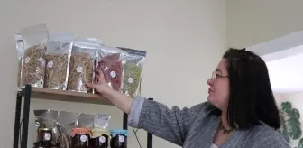 Bursa'da Kadın Kooperatifi Organik Ürünlerle Yeni Bir Başlangıç Yapıyor