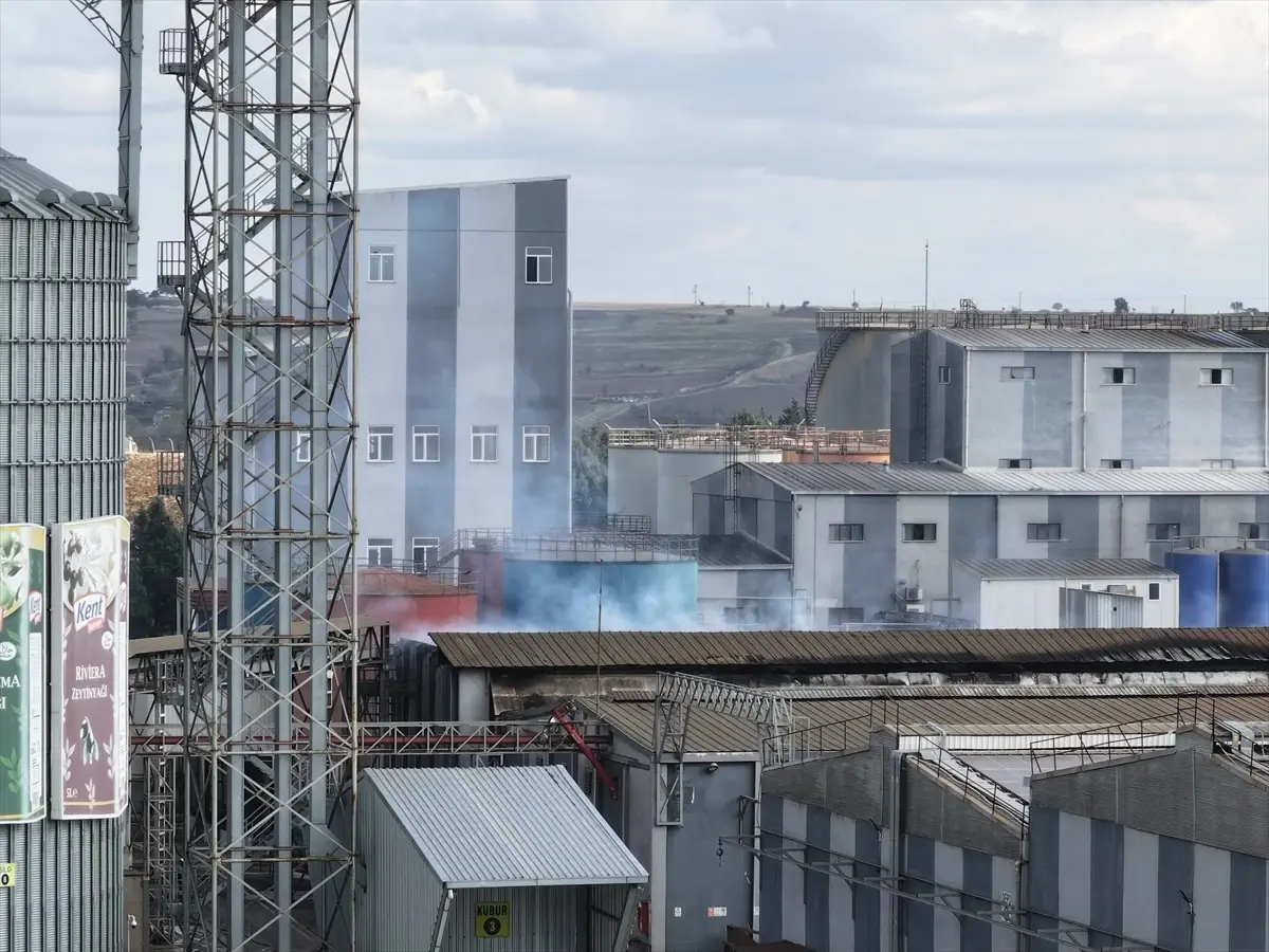 Edirne'de Sıvı Yağ Fabrikasında Patlama: Yangın Kontrol Altına Alındı