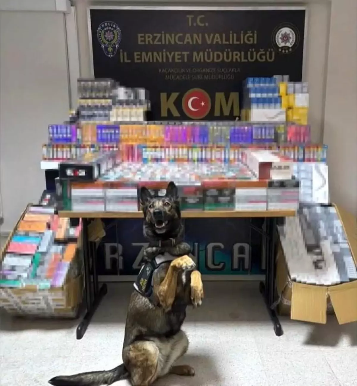 Erzincan'da Kaçak Sigara ve Elektronik Sigara Operasyonu