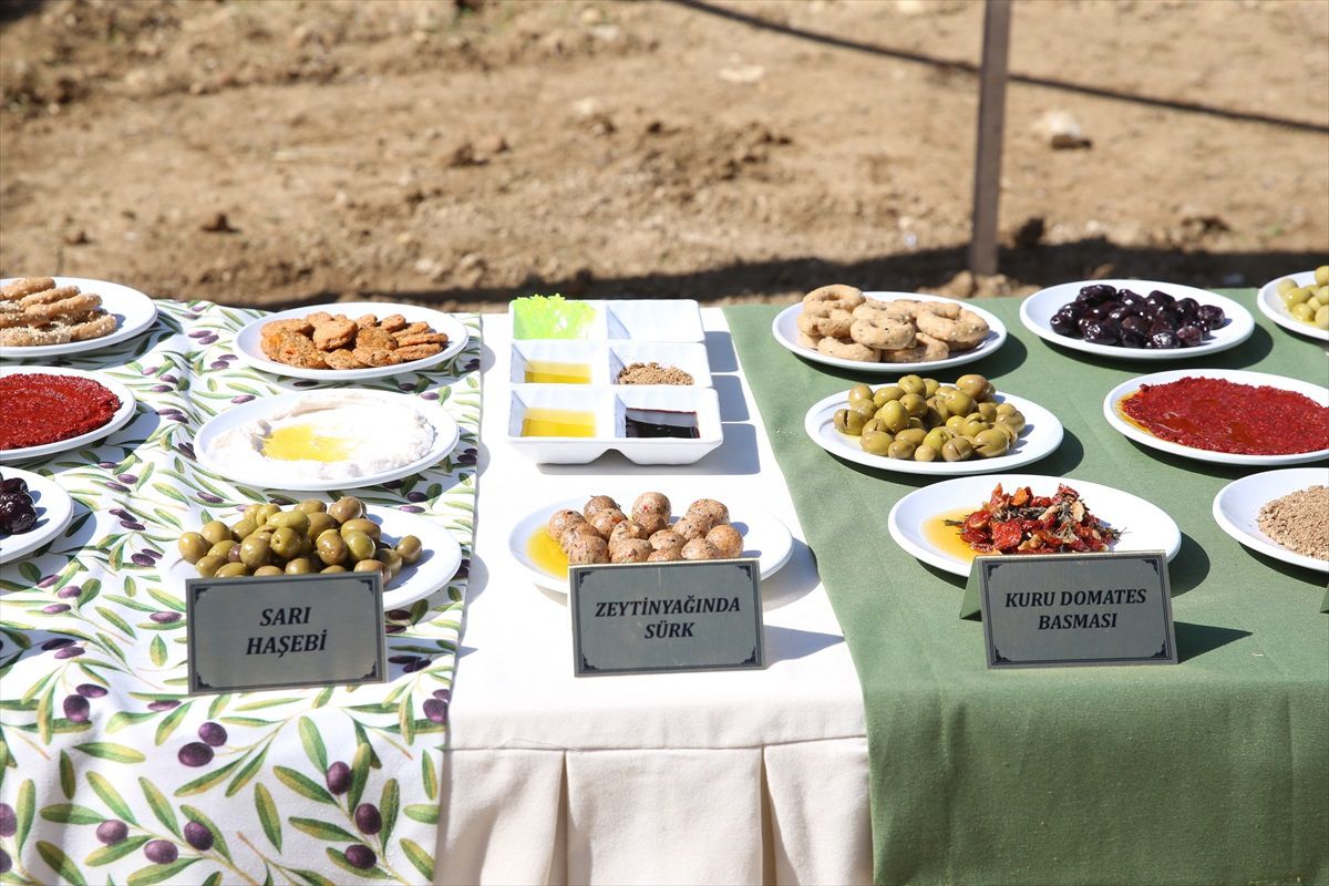 9. Zeytin, Zeytinyağı ve Gastronomi Festivali Altınözü'nde Başladı