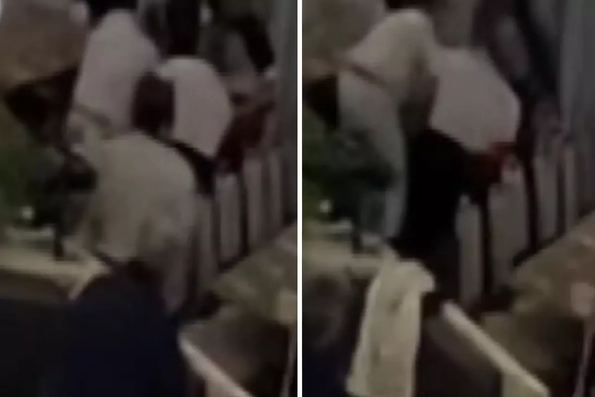 Heimlich manevrasıyla hayata tutundu