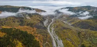 Ilgaz Dağı'nda Sis Etkili Oldu