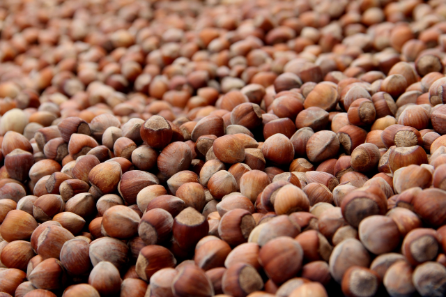 The brown menace has also struck the product we are leaders in world trade! Yield has hit rock bottom